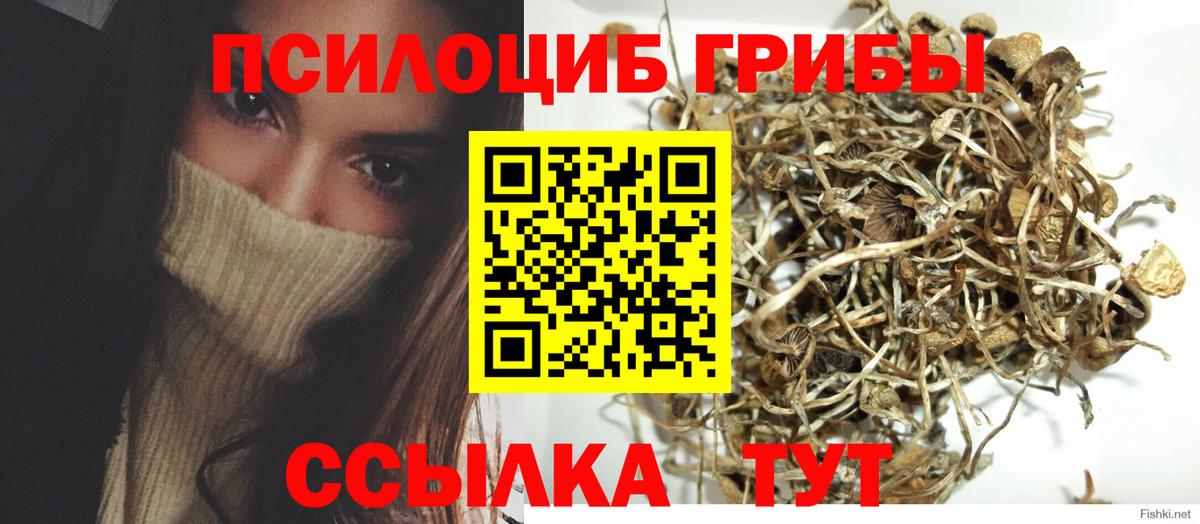 Галлюциногенные грибы Psilocybe Раменское
